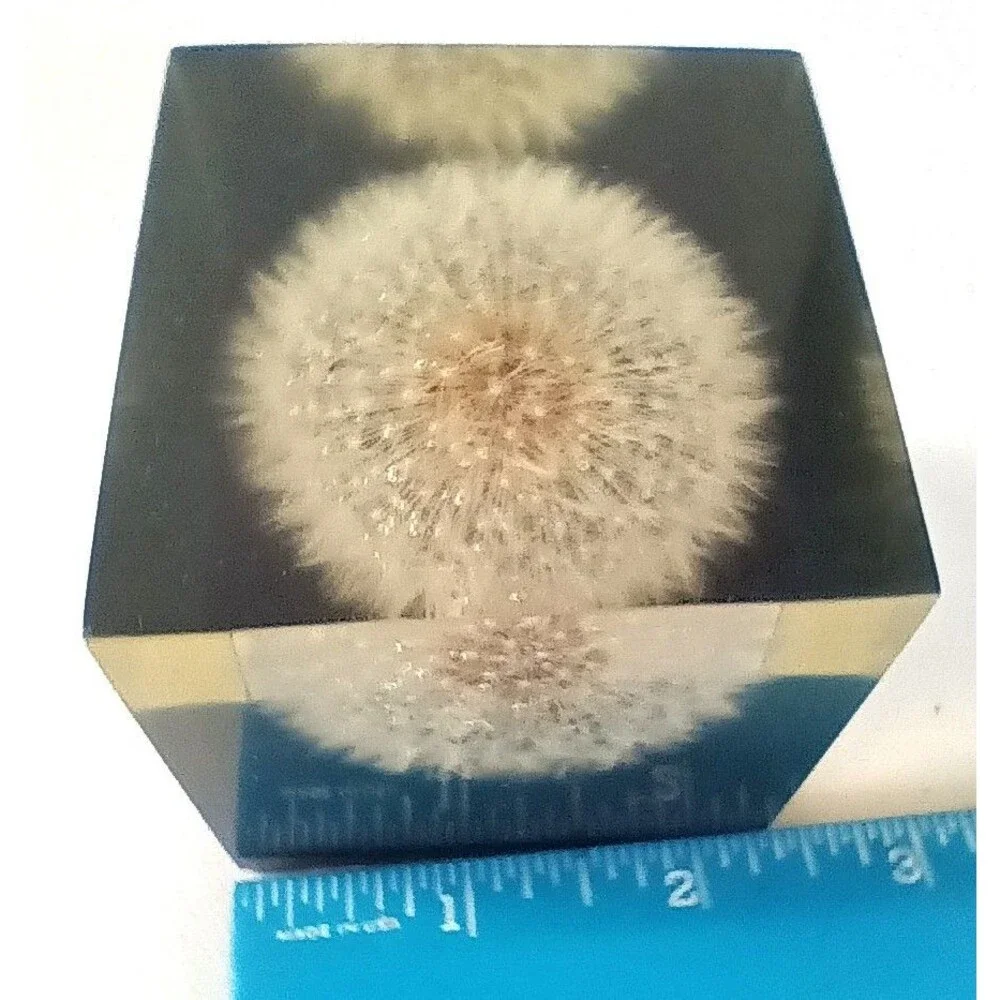Vintage Dandelion Lucite Resin Cube Paperweight  Shoreline 2 3/8
